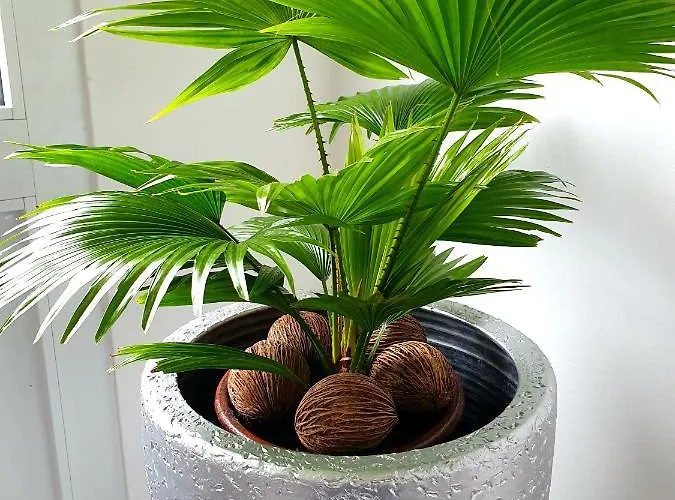 Casa Da Quinta Εξοχικό σπίτι Povoacao (Sao Miguel)