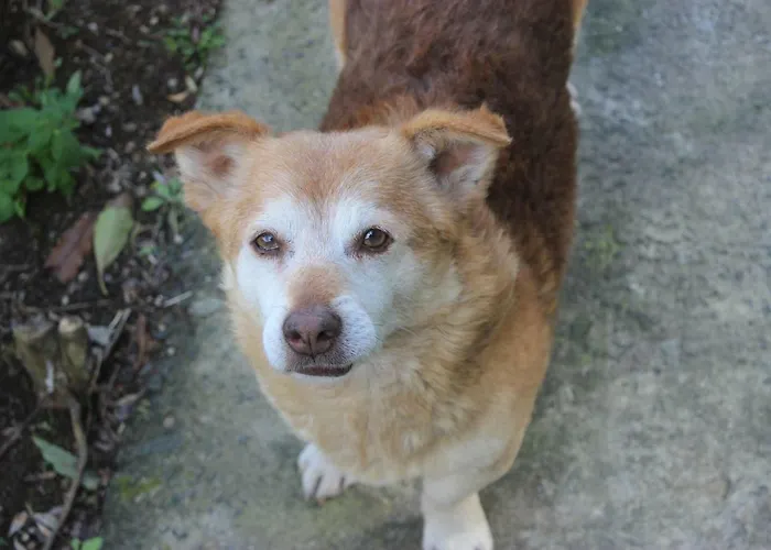 Casa Da Quinta Εξοχικό σπίτι *