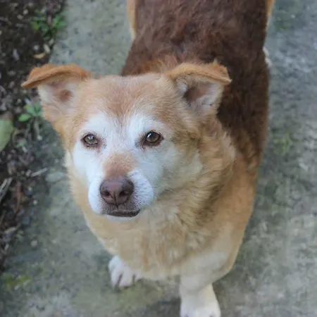 Casa Da Quinta Летний дом *